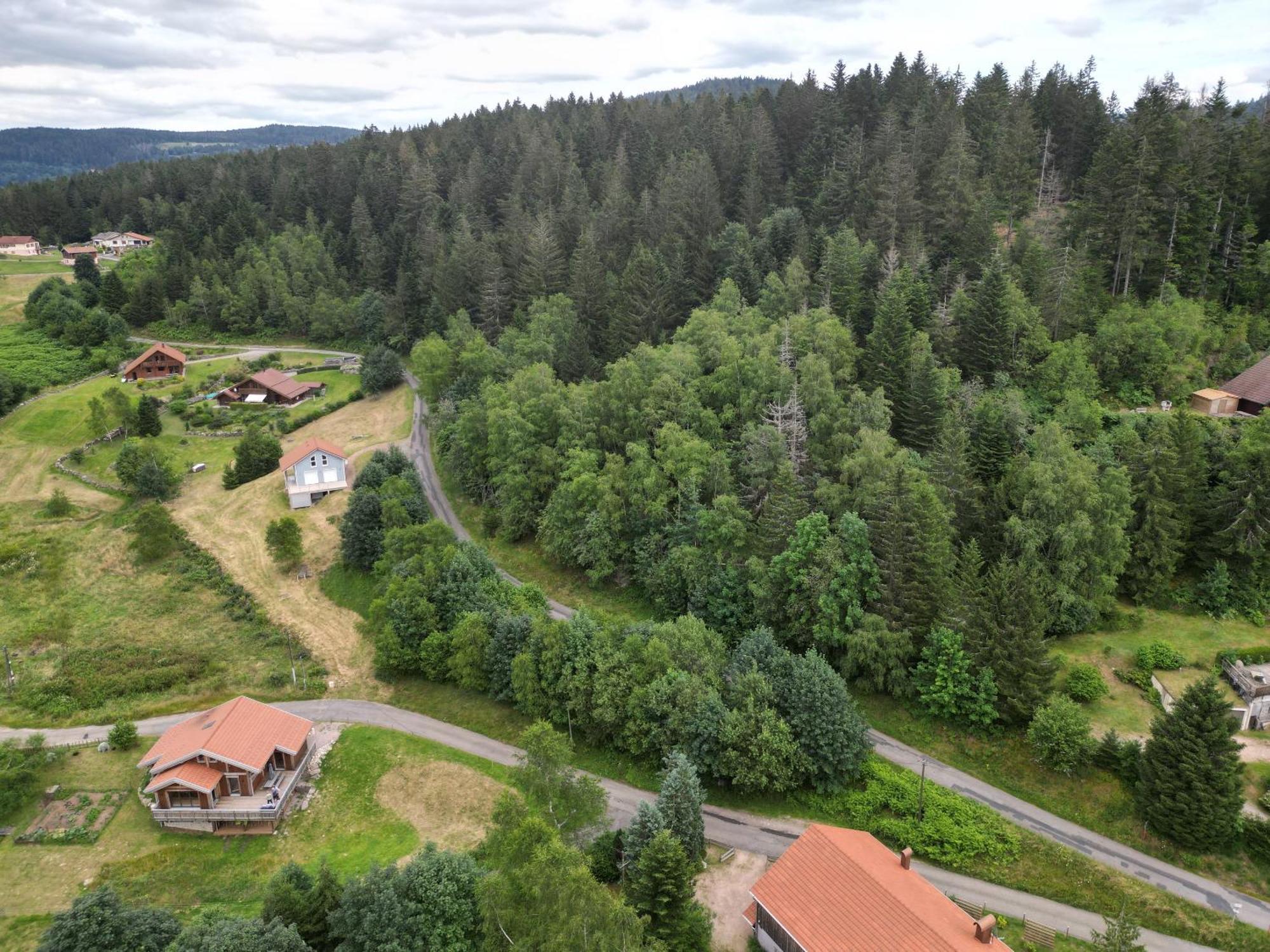 Chalet L'Appel De La Foret Gérardmer Esterno foto