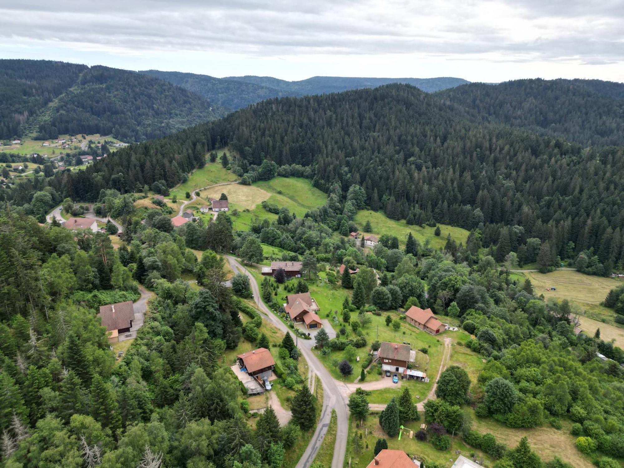 Chalet L'Appel De La Foret Gérardmer Esterno foto
