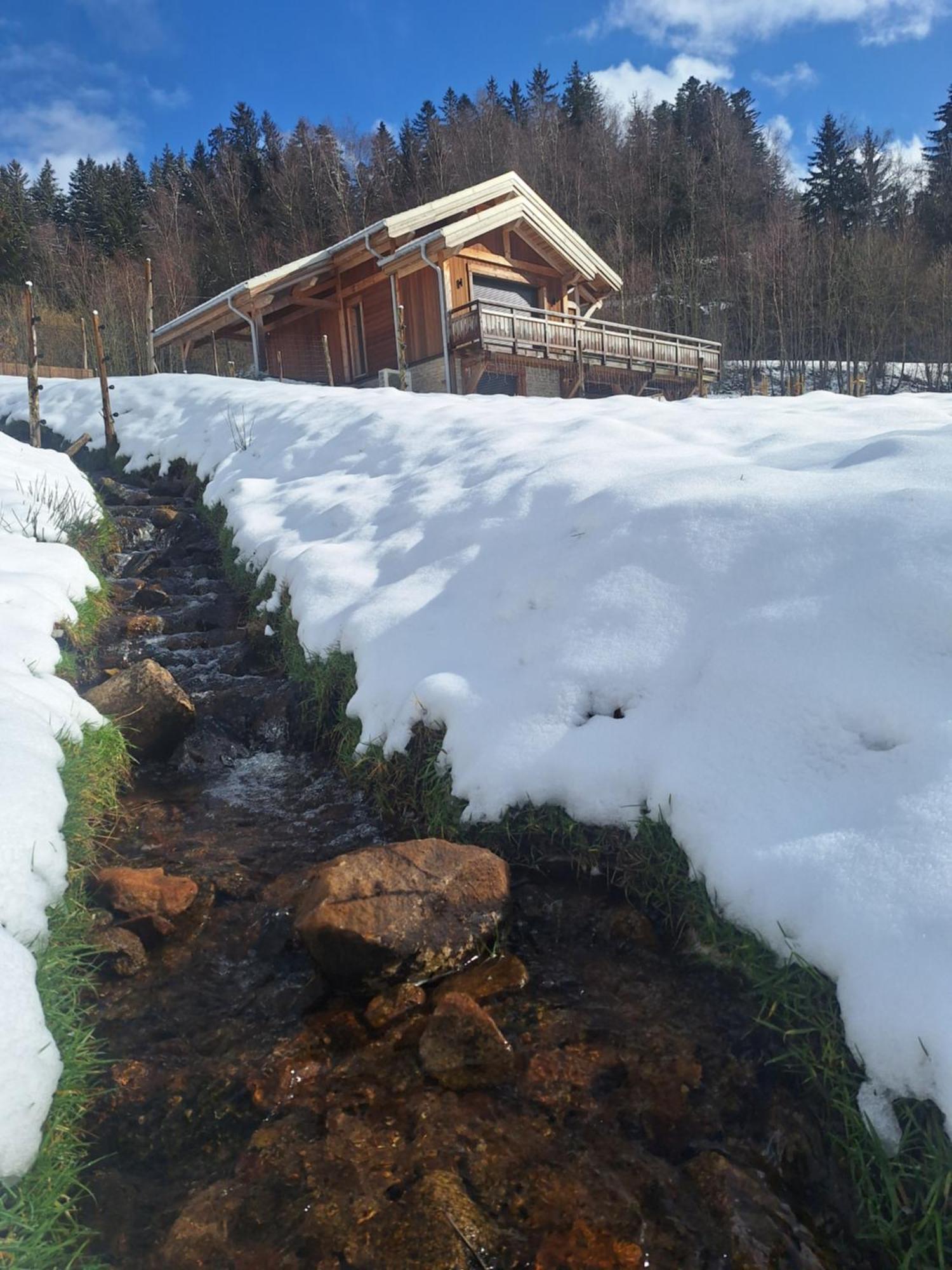 Chalet L'Appel De La Foret Gérardmer Esterno foto